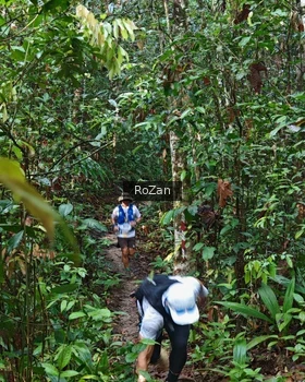 Runner Photo 1085729