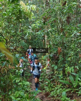 Runner Photo 1085740
