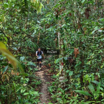 Runner Photo 1085804