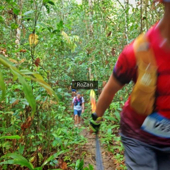 Runner Photo 1085932