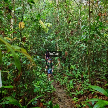 Runner Photo 1085950