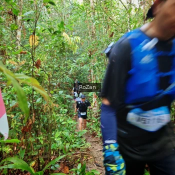 Runner Photo 1085983