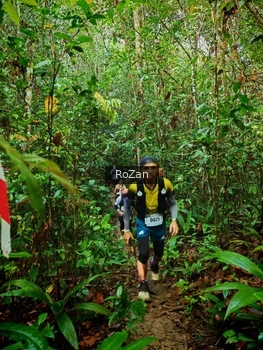 Runner Photo 1086003
