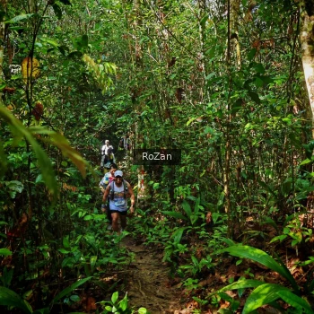 Runner Photo 1086579