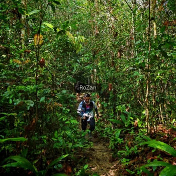 Runner Photo 1086648