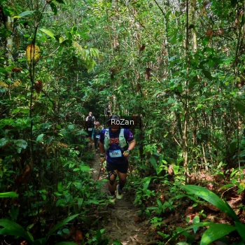 Runner Photo 1086671