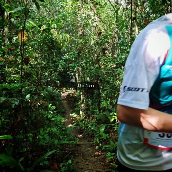 Runner Photo 1086727