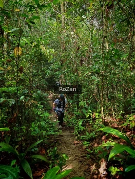 Runner Photo 1086729