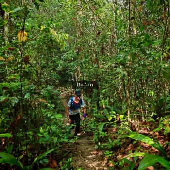 Runner Photo 1086778