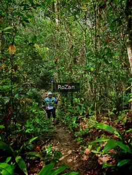 Runner Photo 1086914