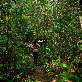 Runner Photo 1086976