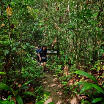 Runner Photo 1087274