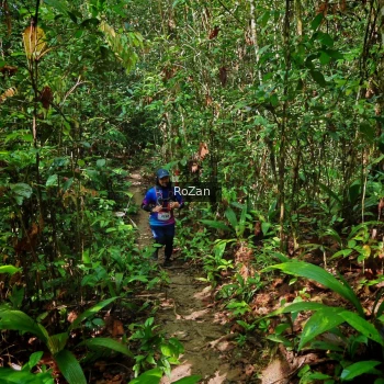 Runner Photo 1087279
