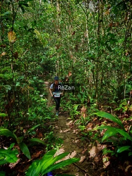 Runner Photo 1087293