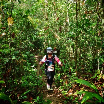 Runner Photo 1087311