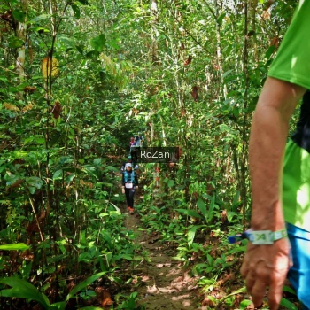 Runner Photo 1087472