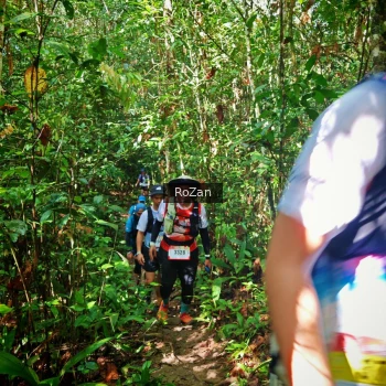 Runner Photo 1087506