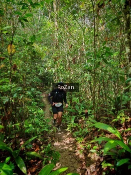 Runner Photo 1087564
