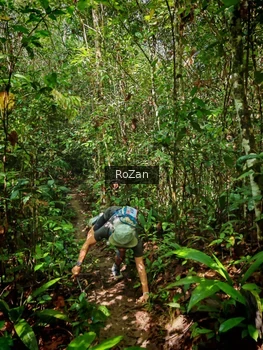 Runner Photo 1087733