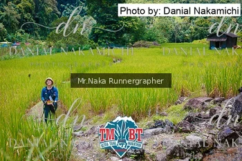 Runner Photo 108838
