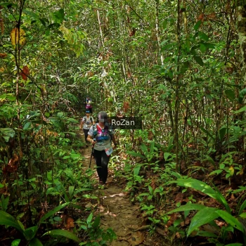 Runner Photo 1088528