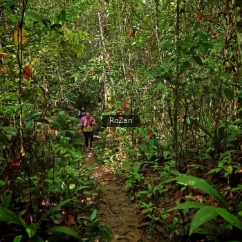 Runner Photo 1088687