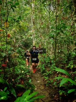 Runner Photo 1088776