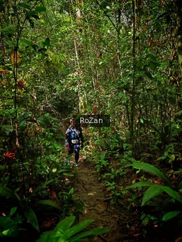 Runner Photo 1088789