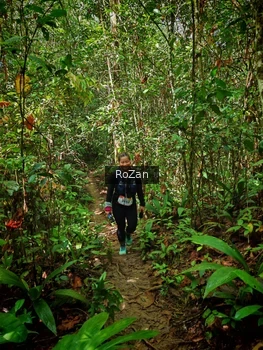 Runner Photo 1088797