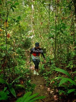 Runner Photo 1088846