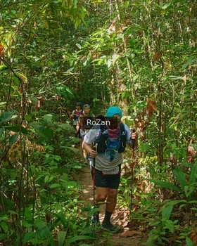 Runner Photo 1088853
