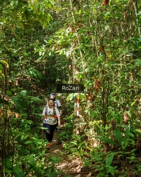 Runner Photo 1088869