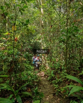 Runner Photo 1088878