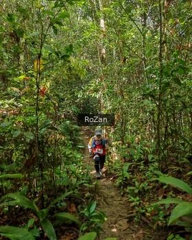 Runner Photo 1088886
