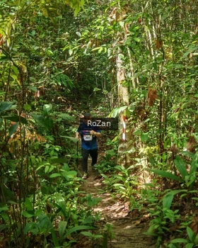 Runner Photo 1088895