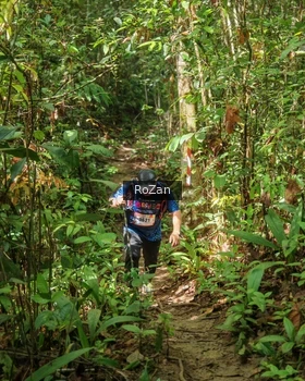 Runner Photo 1088896