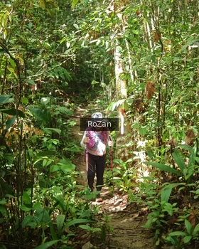 Runner Photo 1088902