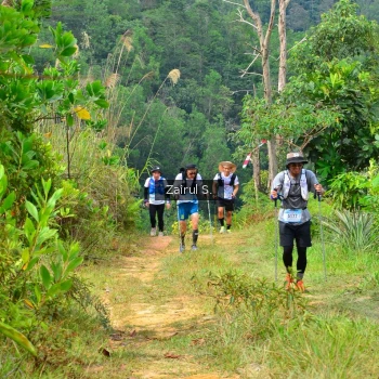Runner Photo 1092554