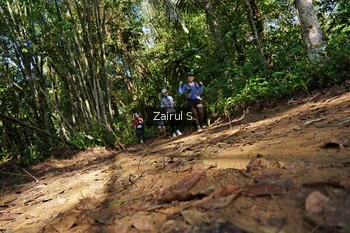 Runner Photo 1098686