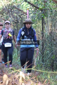 Runner Photo 1098834