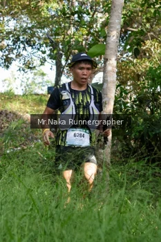 Runner Photo 11012
