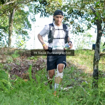 Runner Photo 11015