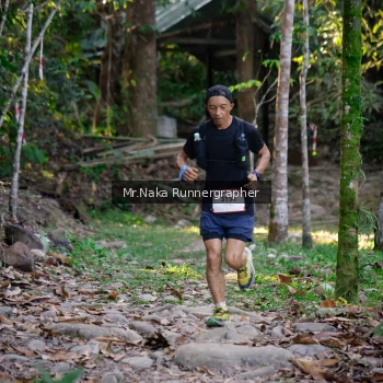 Runner Photo 11019