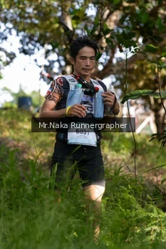 Runner Photo 11021