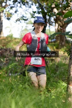 Runner Photo 11030