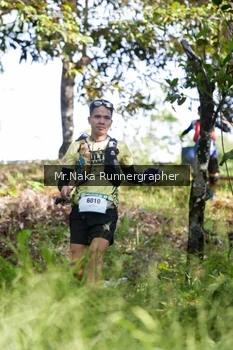 Runner Photo 11048