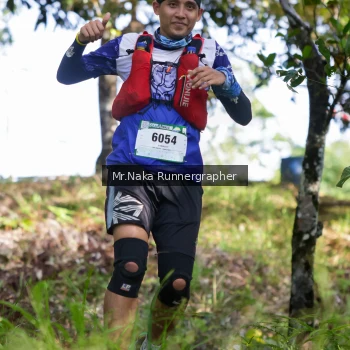 Runner Photo 11051