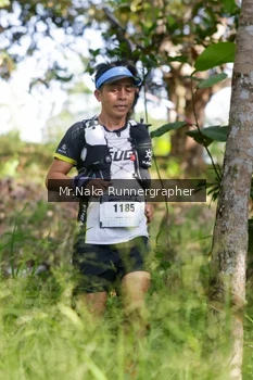 Runner Photo 11055