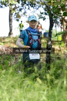 Runner Photo 11057