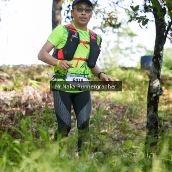 Runner Photo 11060